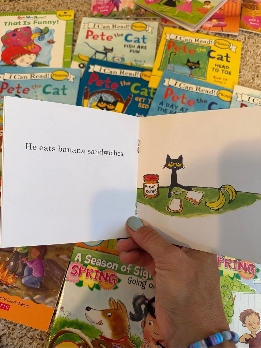 Phonics Learn to read Book Collection